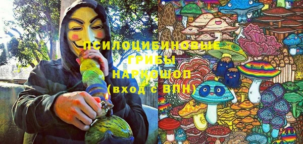 spice Медвежьегорск