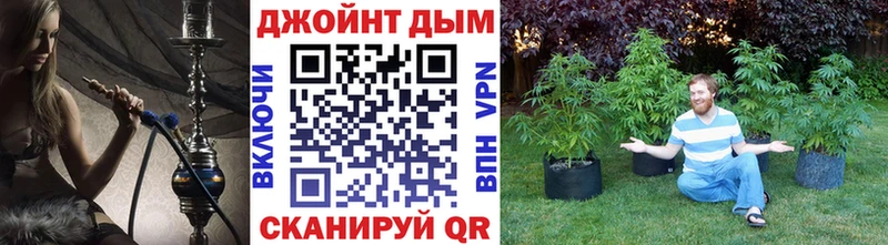 Бошки марихуана Amnesia Кирово-Чепецк